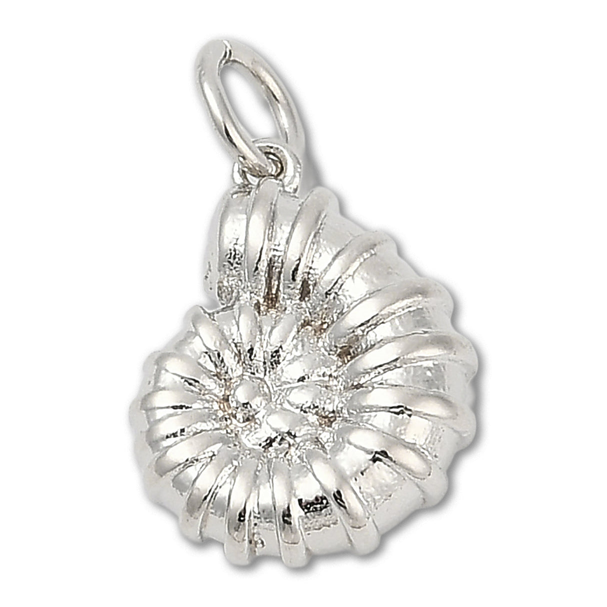 Ciondolo Conchiglia • Colore Platino • 14 x 11 mm