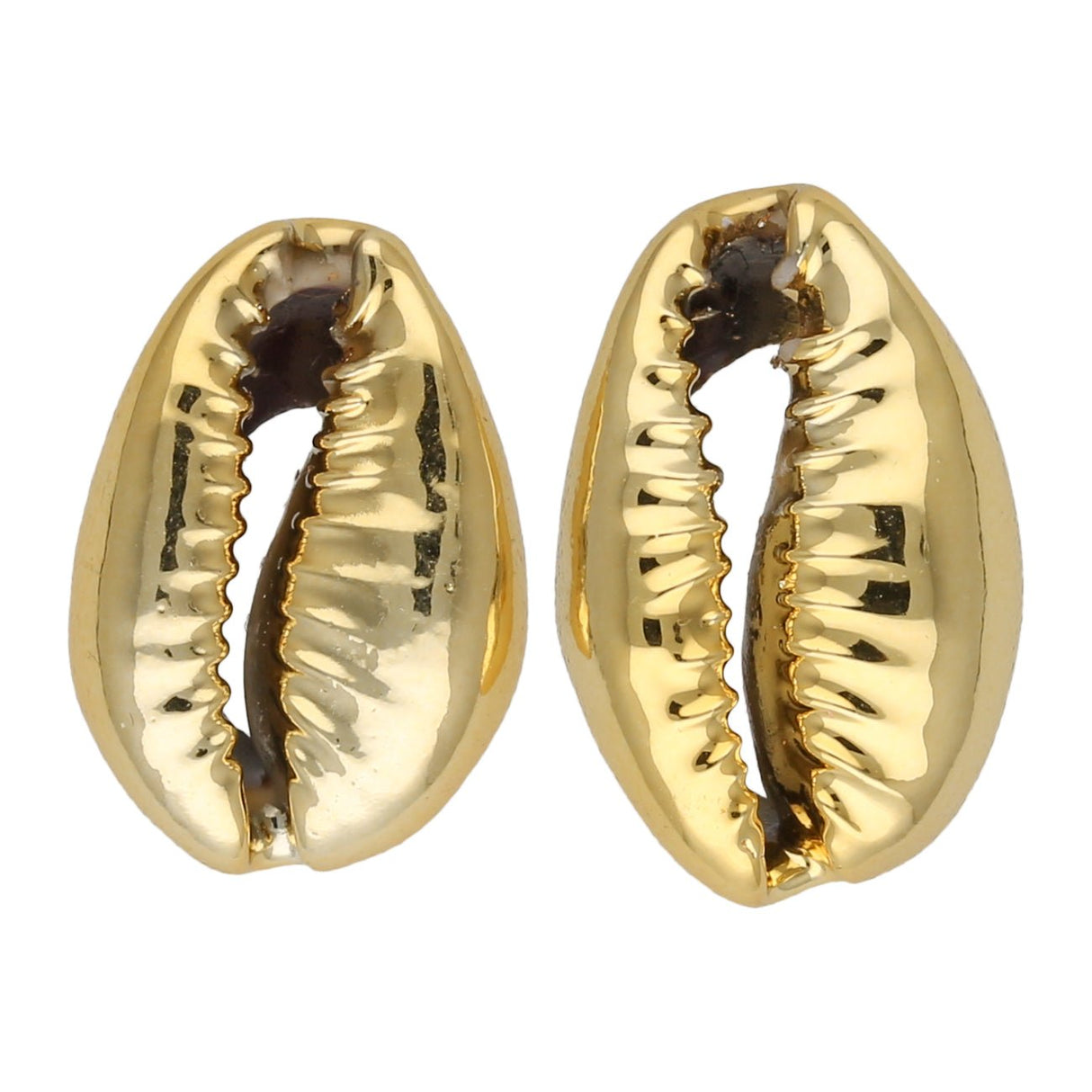 Muschel Perlen – Kaurimuschel UV-Beschichtet – Light Gold - PerlineBeads