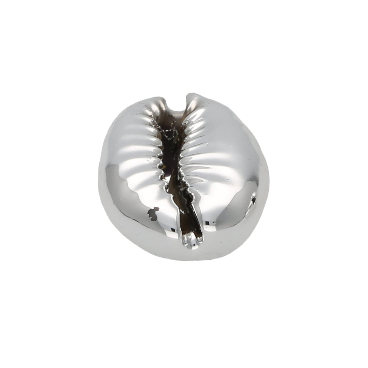 Muschel Perlen – Kaurimuschel UV-Beschichtet – Platinum - PerlineBeads