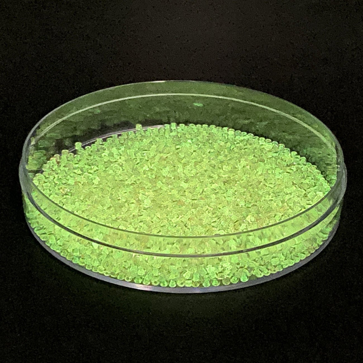 Rocailles-Perlen Toho 11/0 • Glow in the Dark • Pink/Yellow Green - PerlineBeads SA