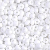 Perline Rocailles Miyuki 6/0 - Matte Opaque White