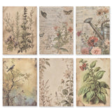 Bedrucktes Scrapbooking Papier | „Musa Paradise“ | 30 - teiliges Set - PerlineBeads SA