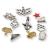 Charm - Mix - Set - Zufallsauswahl - 10 Stk. - PerlineBeads SA