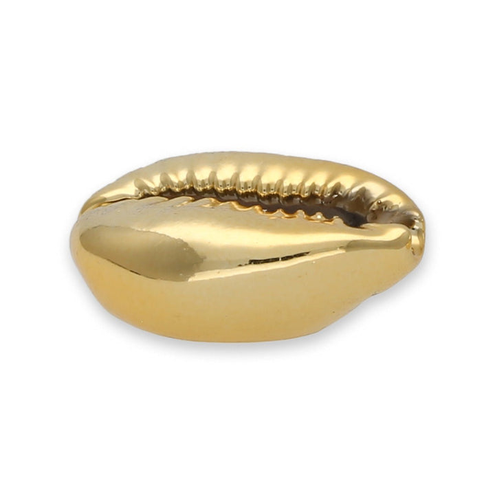 Muschel Perlen – Kaurimuschel UV-Beschichtet – Light Gold - PerlineBeads