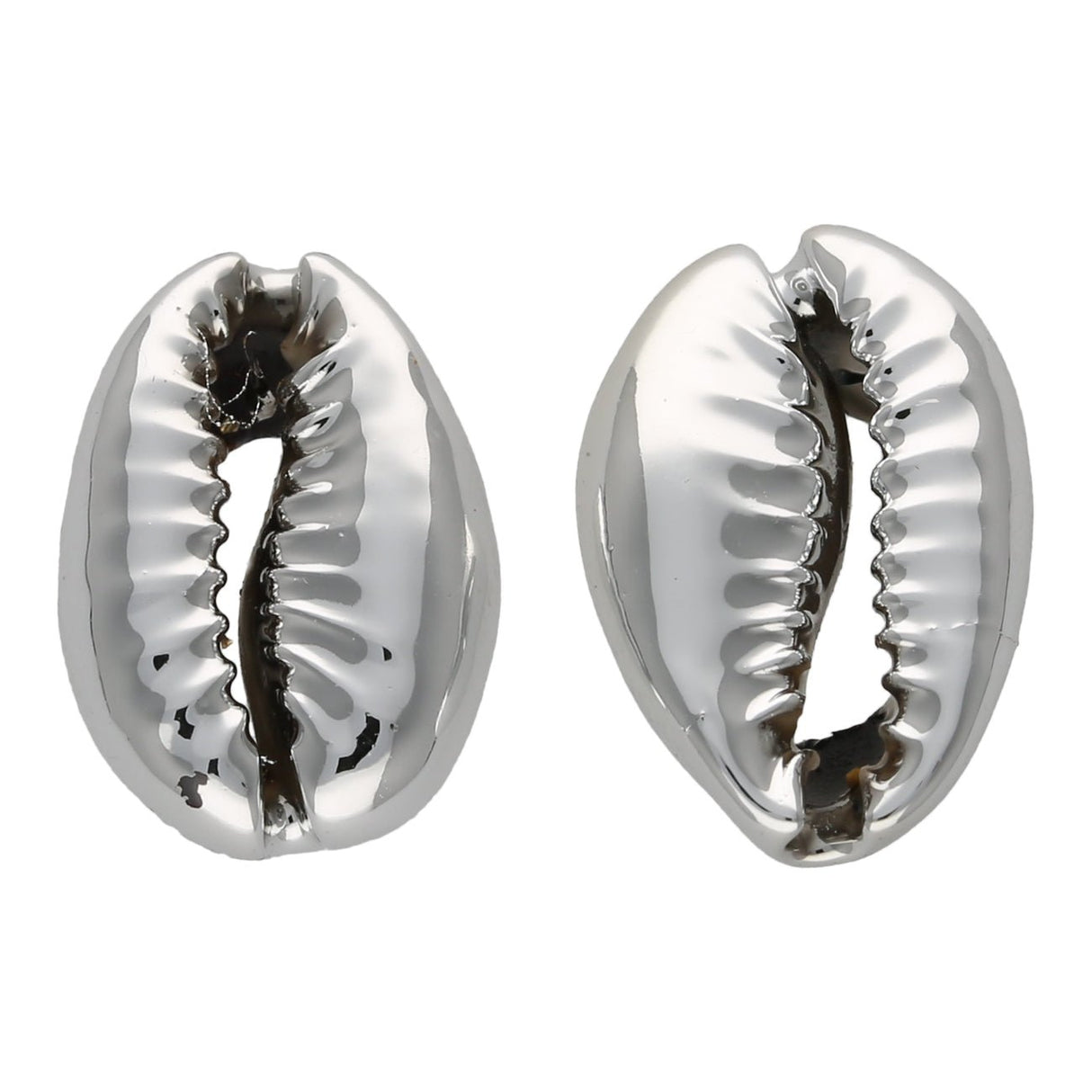 Muschel Perlen – Kaurimuschel UV-Beschichtet – Platinum - PerlineBeads