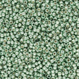 Rocailles - Perlen Toho 15/0 – PermaFinish - Galvanized Mint Green - PerlineBeads SA