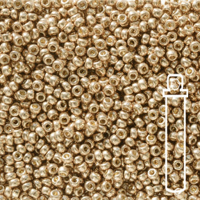 Rocailles-Perlen Miyuki 11/0 – Duracoat Galvanized Light Champagne - PerlineBeads
