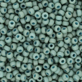 Rocailles-Perlen Miyuki 8/0 – Fancy Frosted Pale Seafoam - PerlineBeads