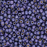 Rocailles-Perlen Toho 8/0 – PermaFinish - Frosted Metallic Polaris - PerlineBeads